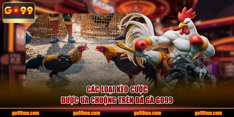 Các loại kèo cược được ưa chuộng trên đá gà GO99