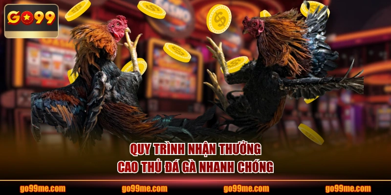 Quy trình nhận thưởng cao thủ đá gà nhanh chóng